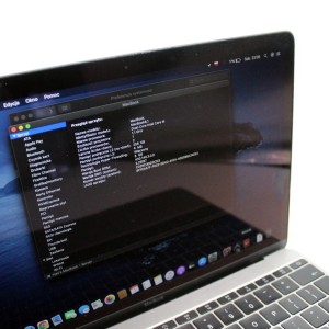 LAPTOP MACBOOK 12 (EARLY...