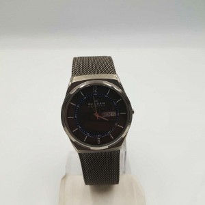 Męski zegarek Skagen SKW6078