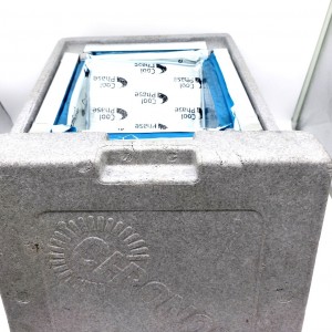 Lodówka turystyczna Chronos...