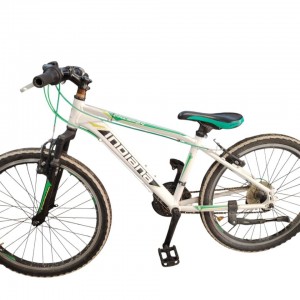 ROWER INDIANA PULSER 2,4...