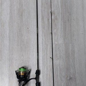 Wędka Jaxon Green Point...