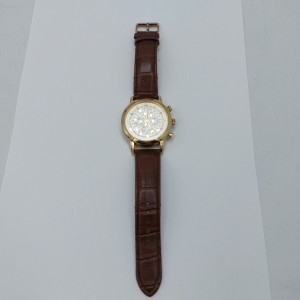 Zegarek Tierry Schaffer